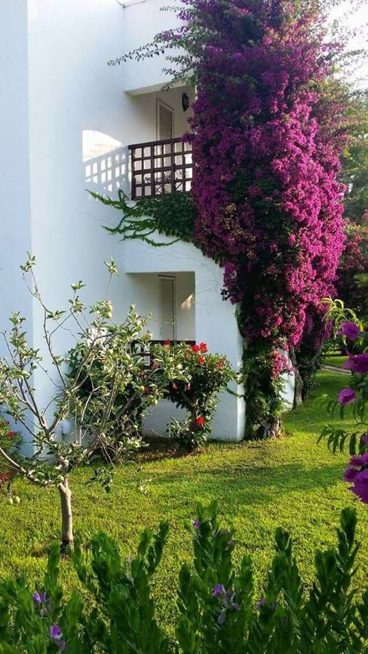 imagini hotel SIMENA SUN CLUB KEMER